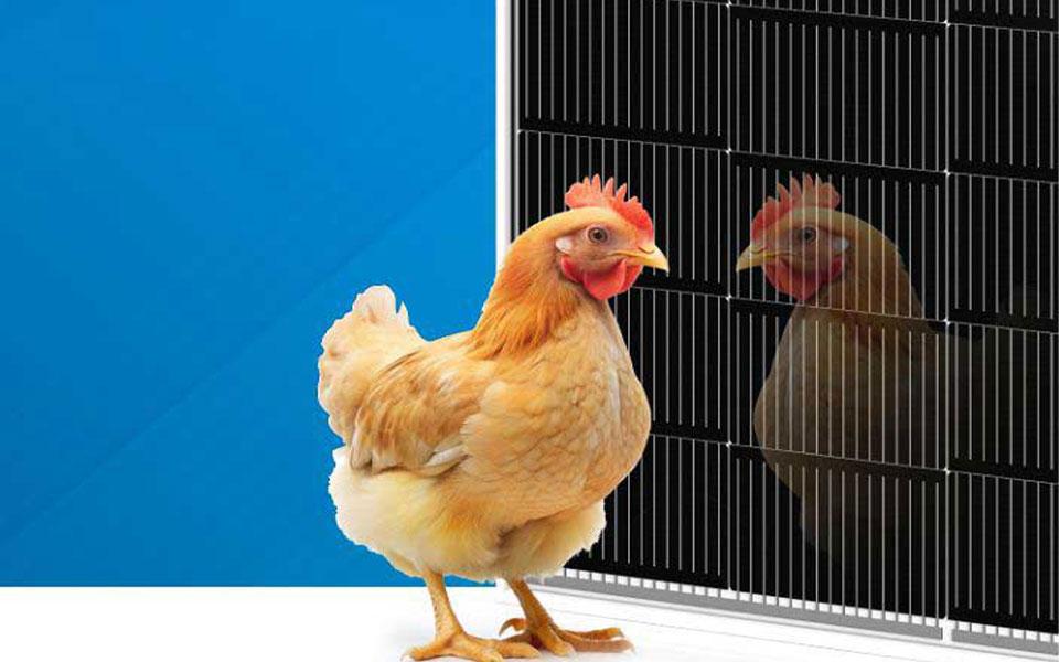 亚美AM8AG官网·(中国区)官方旗舰厅入口